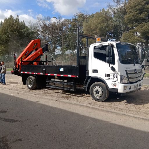 camoines gruas para izaje en alquiler